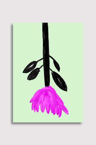 He Loves Me Not Wall Art